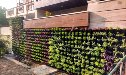 landscaping service delhi