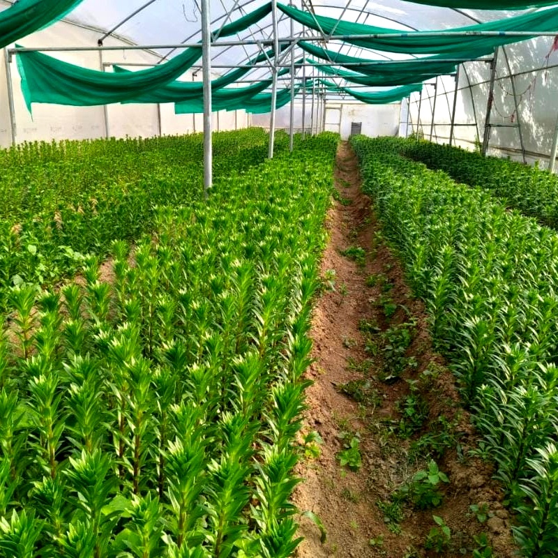 Best Nursery in Delhi